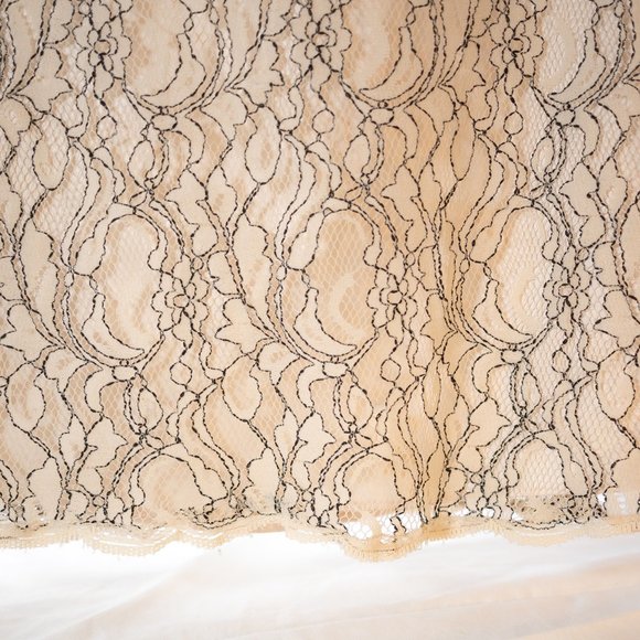 White House Black Market cream and black lace dress size 0 - Picture 2 of 10